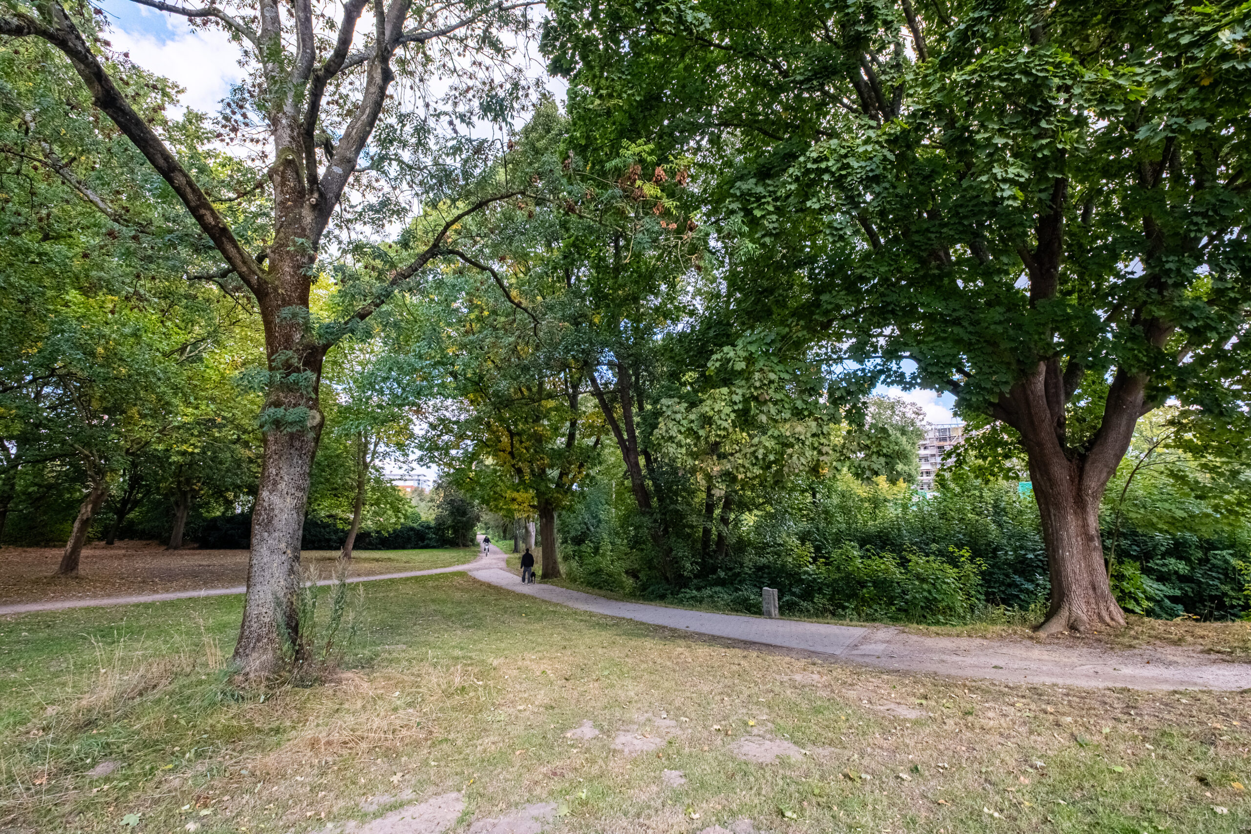 Emma August-Tatenbek Grüner Park mit Bäumen, zwei Wegen und einer Person im Hintergrund.